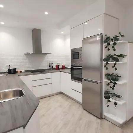Apartment Del Parque Flats Puerto *